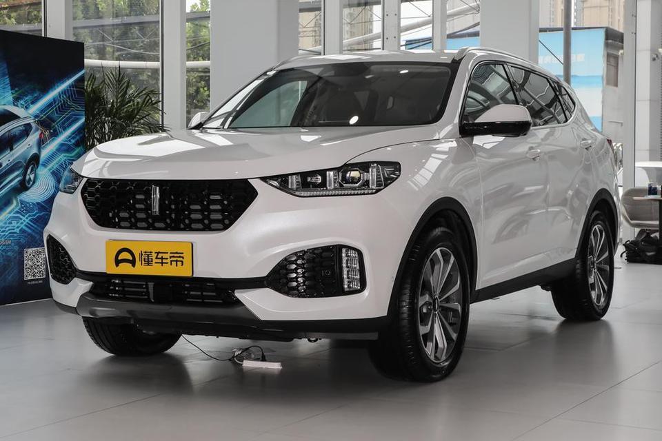 wey vv6-亲爱的车友们大家好，近来比较关注两款车，一直不知道那款更使用，三菱欧蓝德荣耀版，和魏派VV6超豪华版，都是两驱车，他们的价格都是在15万～16万之间。考虑到安全性能，油耗，后期保养成本，和保值率选择哪个更划算，请使用过车友给点真实建议，再次感谢。