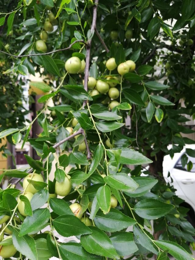 缤智-2018款的1.5的最高车速是多少啊？一直没看懂介绍说的扭矩，最好功率啊，和车速有多大关系啊？求解