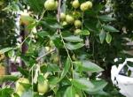 缤智-2018款的1.5的最高车速是多少啊？一直没看懂介绍说的扭矩，最好功率啊，和车速有多大关系啊？求解