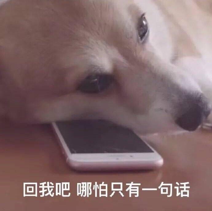 沃尔沃xc60-在于XT5纠结中，希望车主能回答?，2020款窝窝的售后，还有质量问题，比较关注质量和售后服务。