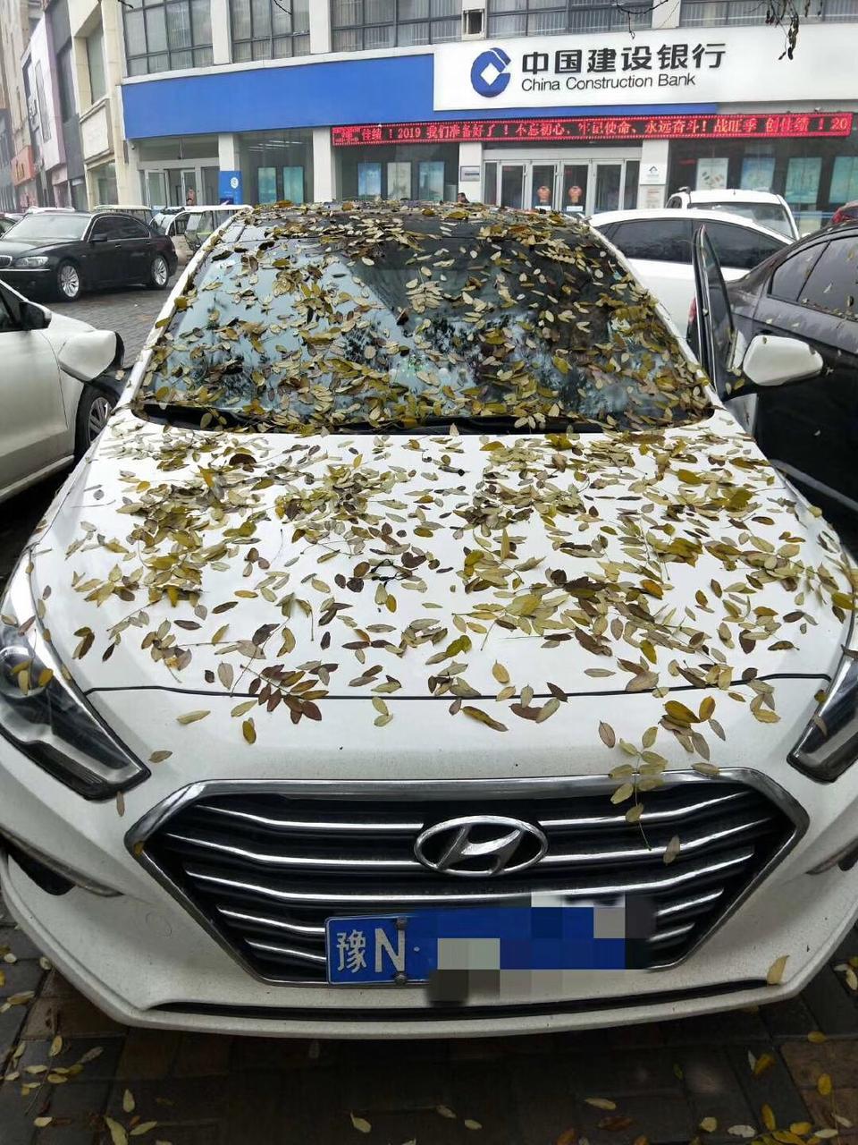 名图-你们的前挡都是贴的什么样的膜？