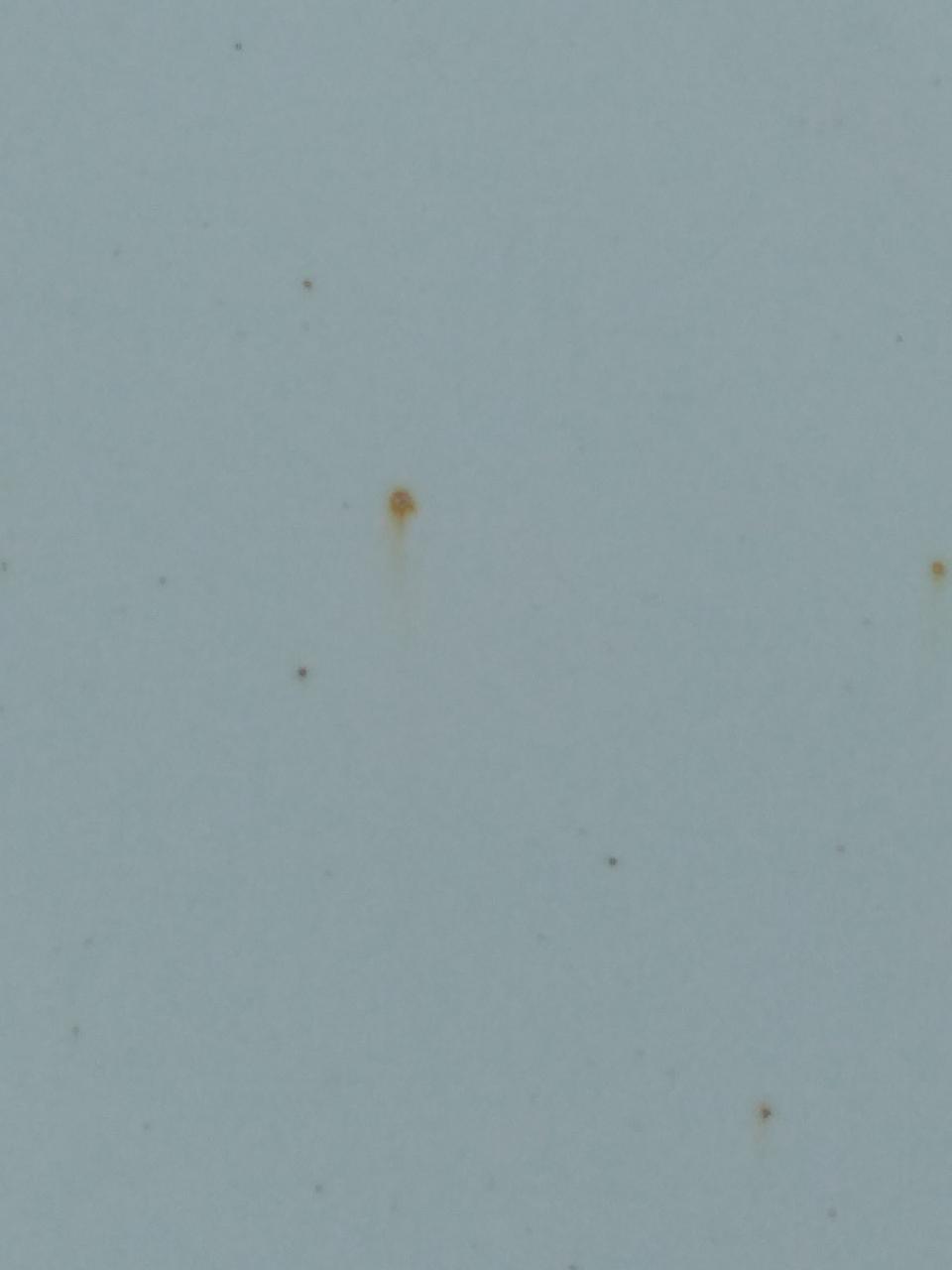 名图是车漆薄吗  停这一个月  没开  车机盖有很多点点  就像生锈  这是怎么回事  咋解决啊 老铁们