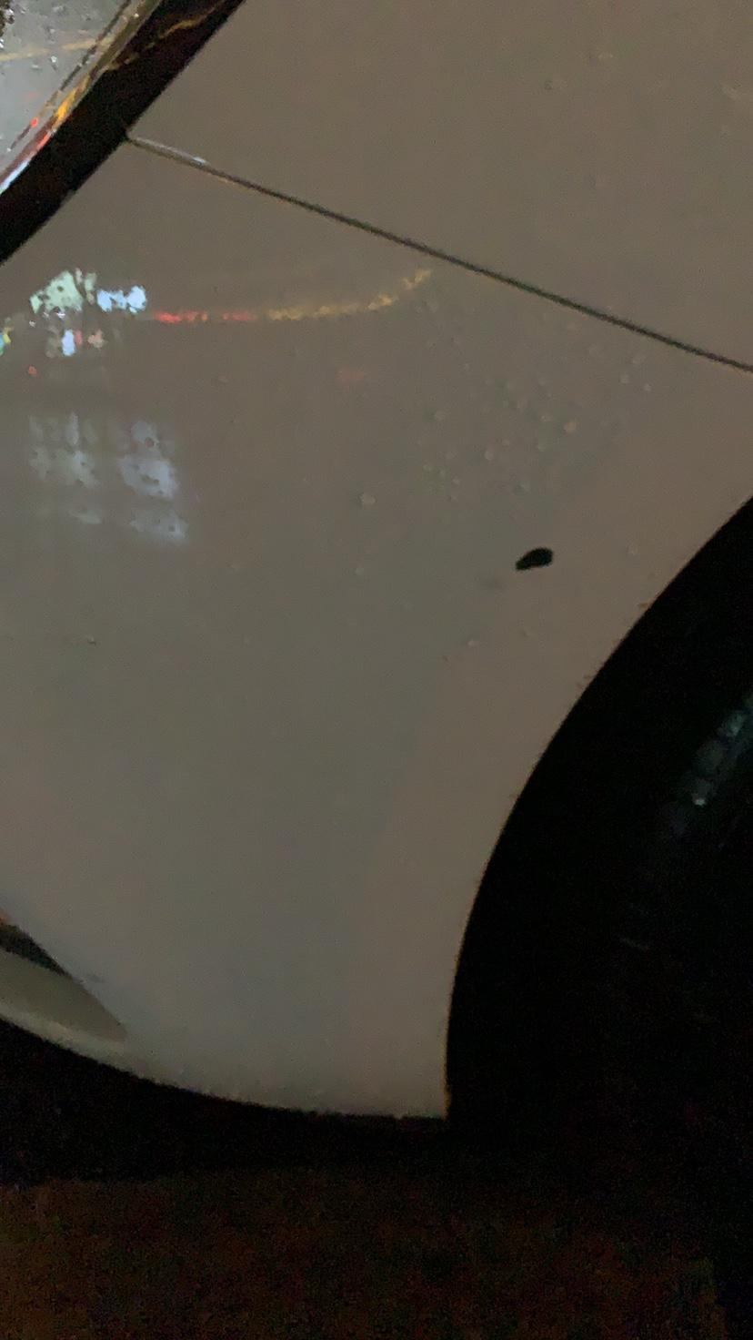 威朗-这补漆大概多少钱