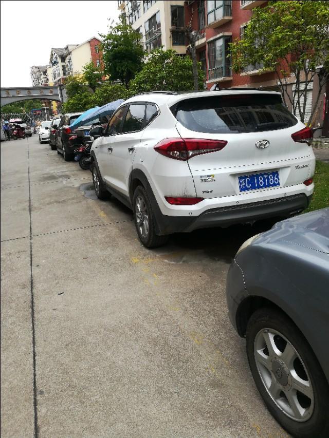 威朗-什么车白色更好！！！！