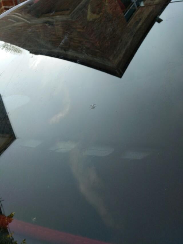 威朗-昨天高速听到啪的一声，服务区一看，前挡玻璃一个窟窿，朋友们帮忙看看维修需要多少钱，需不需要维修，感谢