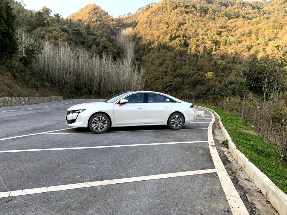 标致508l-有湖北十堰的标致车友会或者508车友会么 小弟新提了一辆 求组织