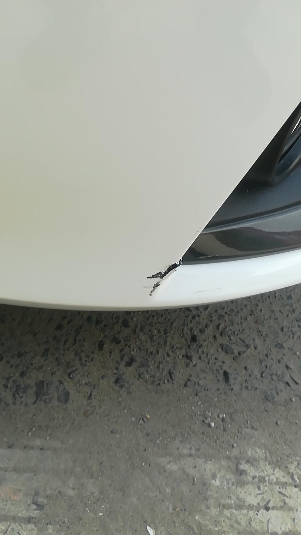 yaris l 致炫-这个需要更换吗？有点翻出来破了