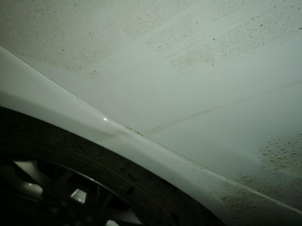 远景-今天晚上车子蹭到树上去了，漆面没有事，但是门板有点凹陷，修复一下大概需要多少钱呢？还有就是树叶的绿色蹭到车上去了，我用酒精搽，但是没有除去，各位老铁有什么去除的方法吗？