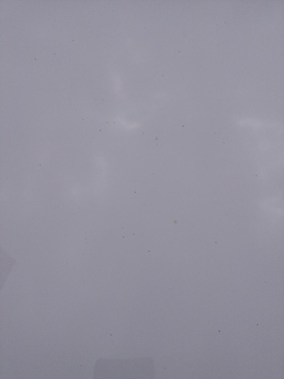 远景-车上怎么有那么多的黄色班点。洗又洗不掉。要指甲才能刮掉。是什么东西啊那里来的