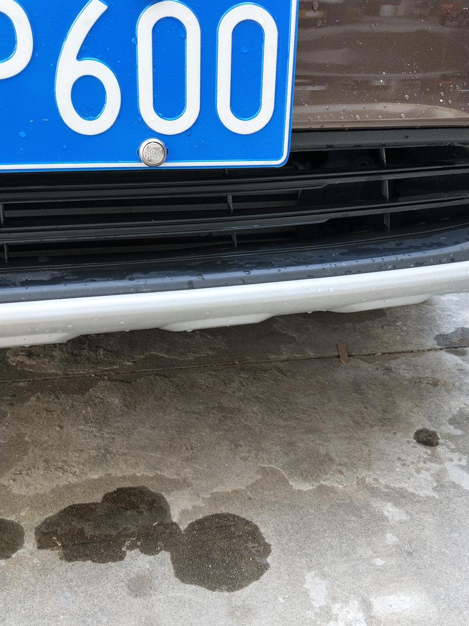 荣威rx5-各位大神，这个中网里面这一块儿零件区域叫什么？有树叶和虫子掉在里面，弄不出来，有影响不？求解答