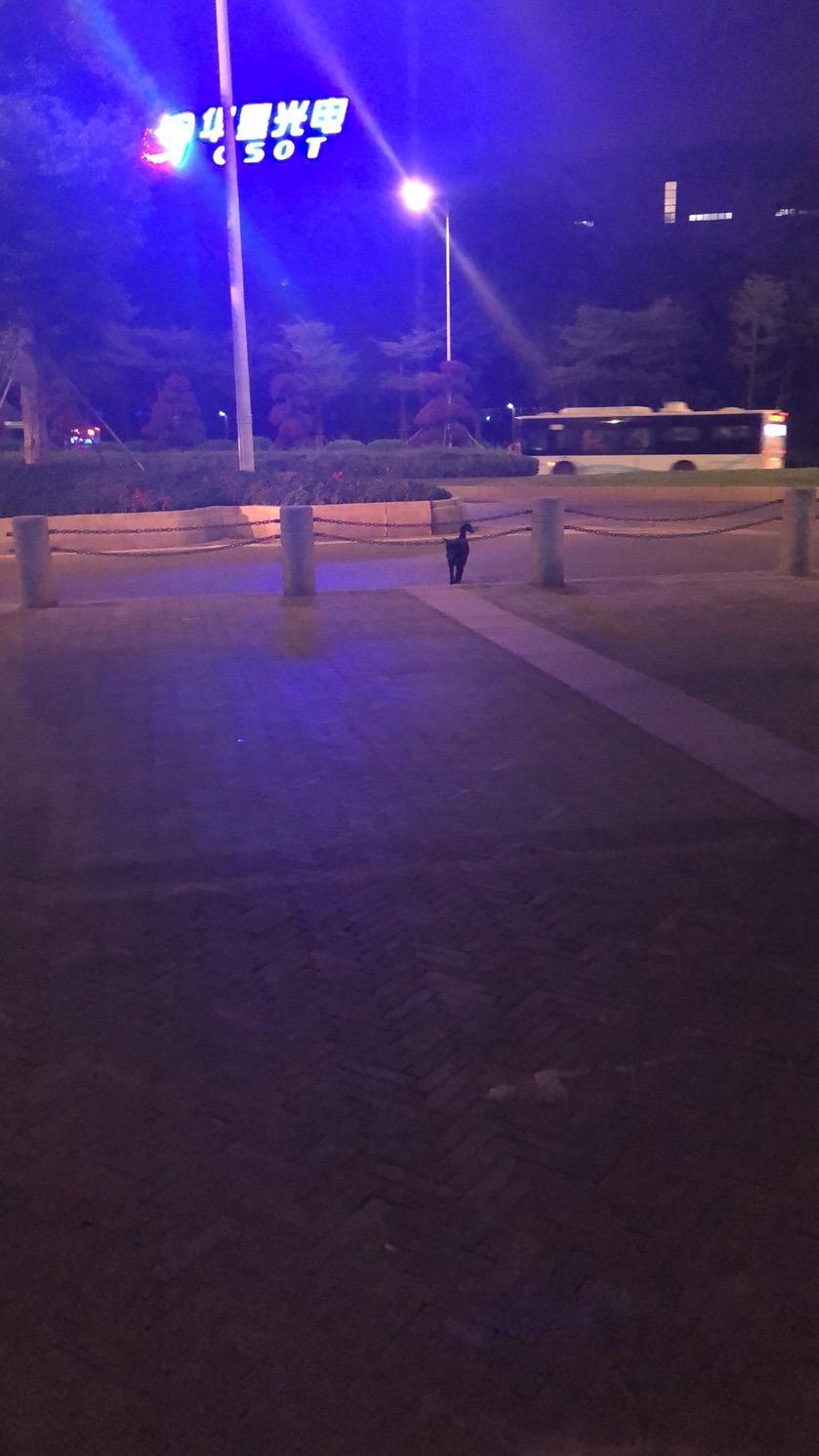 福睿斯还是可以的，任何品牌的车都有可能出现问题车，建议不要买最新款的，本人17年1月买车买的15款，3年5万公里没任何瑕疵，就副驾左门补了漆180一个面，发动机还是可以，我开车比较毛躁的，起步都3000,多转，多保养就好了，不纯在伤发动机，美系车发动机调校比较好，准备大保一下，求指教，哪些必要花费