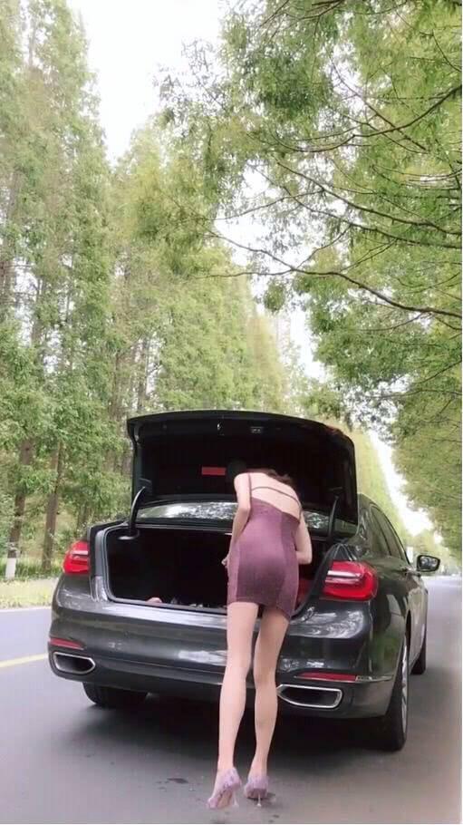 福睿斯-请问这是啥车，挺漂亮的。