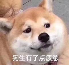 奥迪s4-本人98年，房产销售，年薪20-30，喜欢奥迪很久了，家里一辆A6一辆Q3，自己也合计着啥时候能买辆属于自己的奥迪，眼馋s4很久了，准备年底买个大件，现在有点纠结先买房还是先买车，各位帅哥美女大哥大姐们给个建议，救救孩子吧！

PS：车是贷款买，因为这个钱是完全我自己出，不想把所有的钱都扔在这上面。也考虑到房子升值和汽车贬值问题，所以有点纠结。不过老家小县城，目前四五千块钱房价，也涨不动了，所以就有买车的心思。