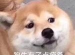 奥迪s4-本人98年，房产销售，年薪20-30，喜欢奥迪很久了，家里一辆A6一辆Q3，自己也合计着啥时候能买辆属于自己的奥迪，眼馋s4很久了，准备年底买个大件，现在有点纠结先买房还是先买车，各位帅哥美女大哥大姐们给个建议，救救孩子吧！

PS：车是贷款买，因为这个钱是完全我自己出，不想把所有的钱都扔在这上面。也考虑到房子升值和汽车贬值问题，所以有点纠结。不过老家小县城，目前四五千块钱房价，也涨不动了，所以就有买车的心思。