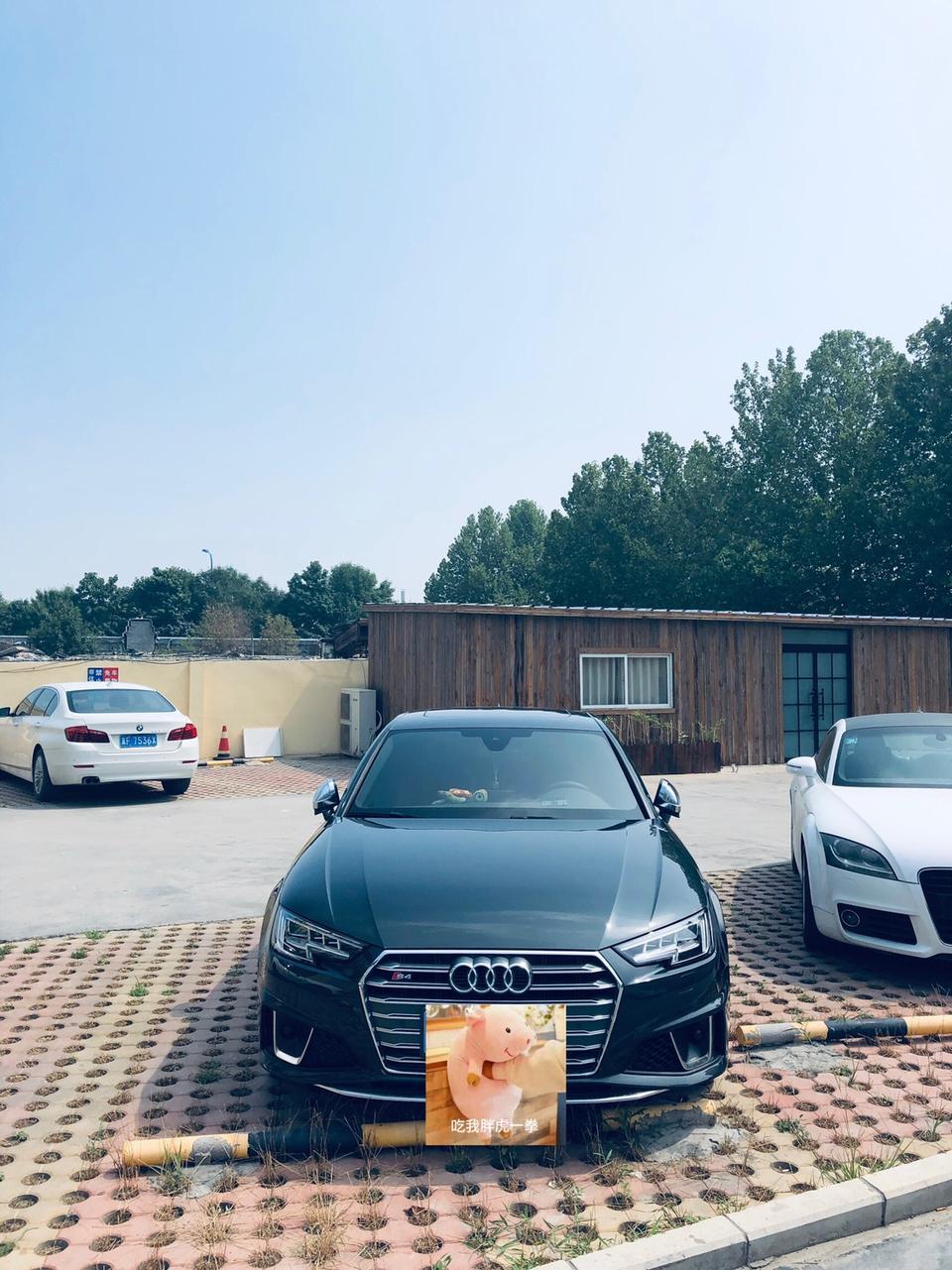 奥迪s4-我想改车  球球各位大哥给臭弟弟点意见  我是个小白什么都不懂