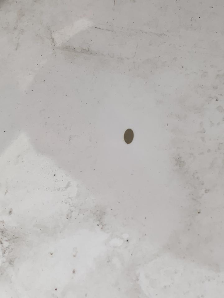 创酷-万能的车友们！最近发现车上多了两个小点一开始以为是泥点子后来发现不是！这个点很奇怪看得见摸不着怎么擦也擦不掉！