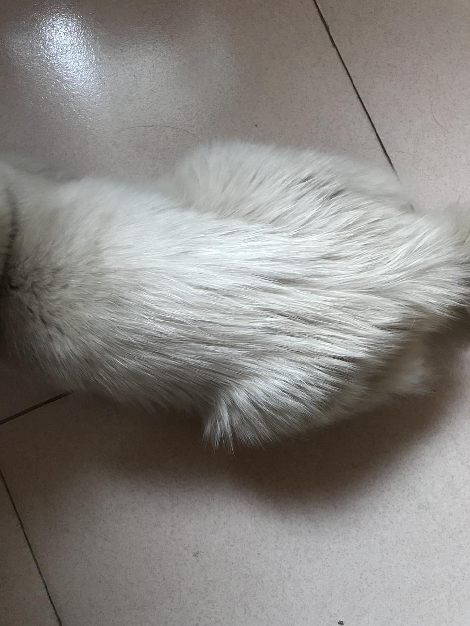传祺GS8，17款的320T发动机跟19款的390T发动机跟变速箱硬件上有什么实质区别吗？是不是只有ecu的区别呢？老款可以通过刷ecu变成390T吗？
