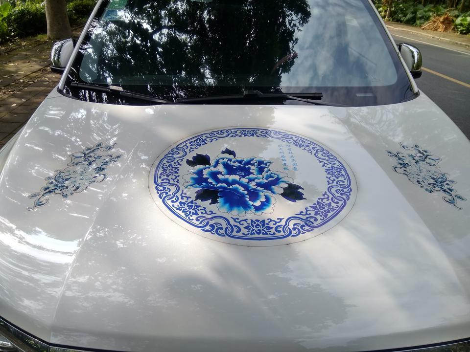 传祺gs8-请问各位大神，这个年审可否过关？