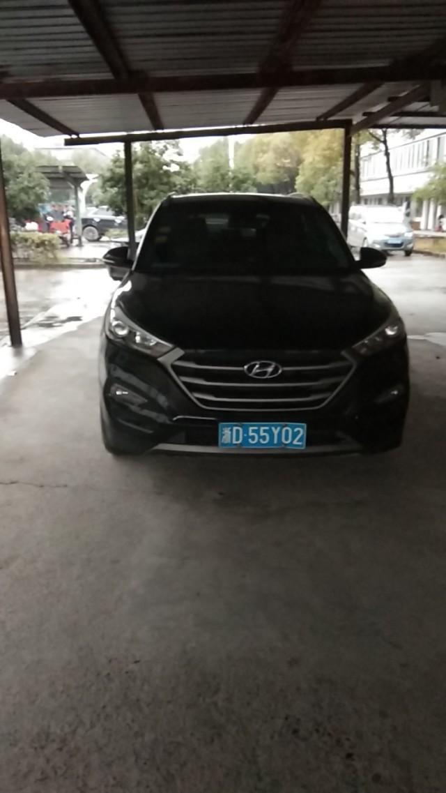 途胜-大家看看这是什么车，费不费油啊？