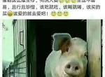 各位大神们…
小弟有个问题需要咨询！
我的刚刚提的宝骏530，
18款豪华型的，
为什么后排右边门在里面总是打不开…
后排只能从左边出人，
是什么原因？
如果说是儿童锁…
那我也解锁了，
可是右边就是打不开…
只能从外面开门，
而左边却可以，
这是车的问题还是什么？
因为是刚刚提的车！
如果是车的问题！
那么我是不是该去找4S店呢？
还是什么？