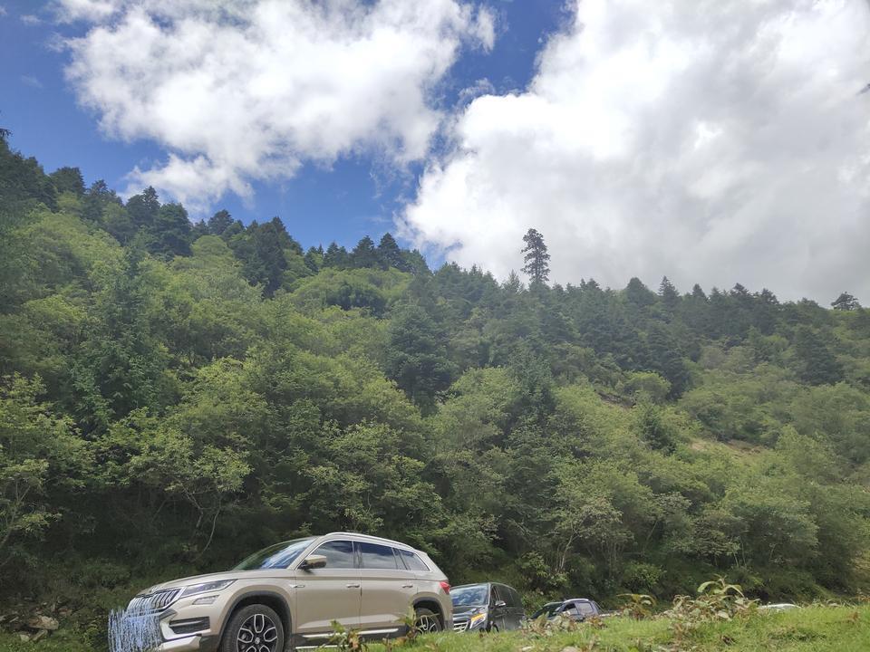 柯迪亚克-18款7座豪华优享版
走山路上坡时有烧焦味
这是什么原因造成的?
求各位解答，感谢