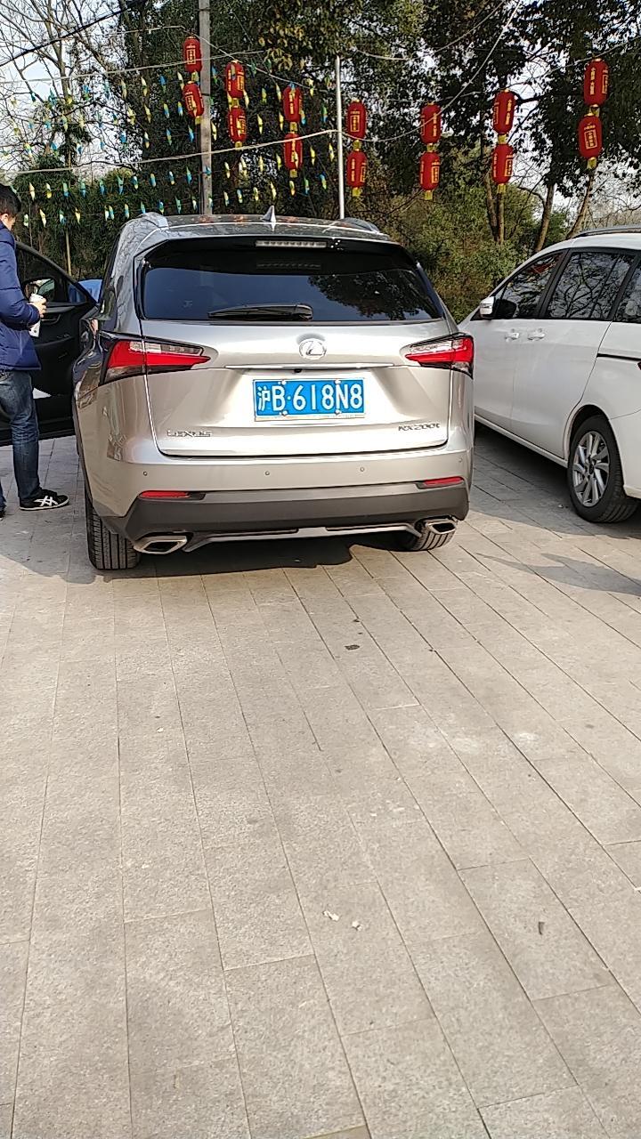 雷克萨斯nx-大家看看这是nx哪个配置啊