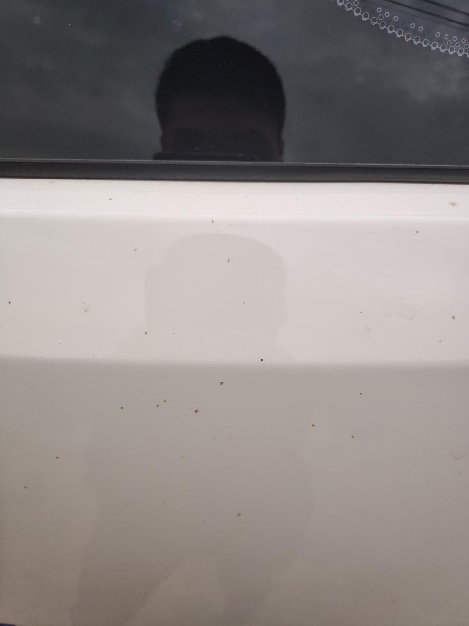 宝骏730-我想问一下各位大哥这种苍蝇屎粘在车身上怎么洗啊，很多而且粘的很紧，用什么东西可以快速的清洗啊，谢谢各位大神了