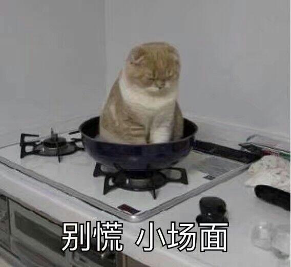 奕泽izoa-常跑市区有没有感觉车内后视镜其实盲区很大，可不可以改个流水多媒体那种（具体叫啥名字我不记得了）只记得在vv5上边看见过，靠后边摄像头看后方