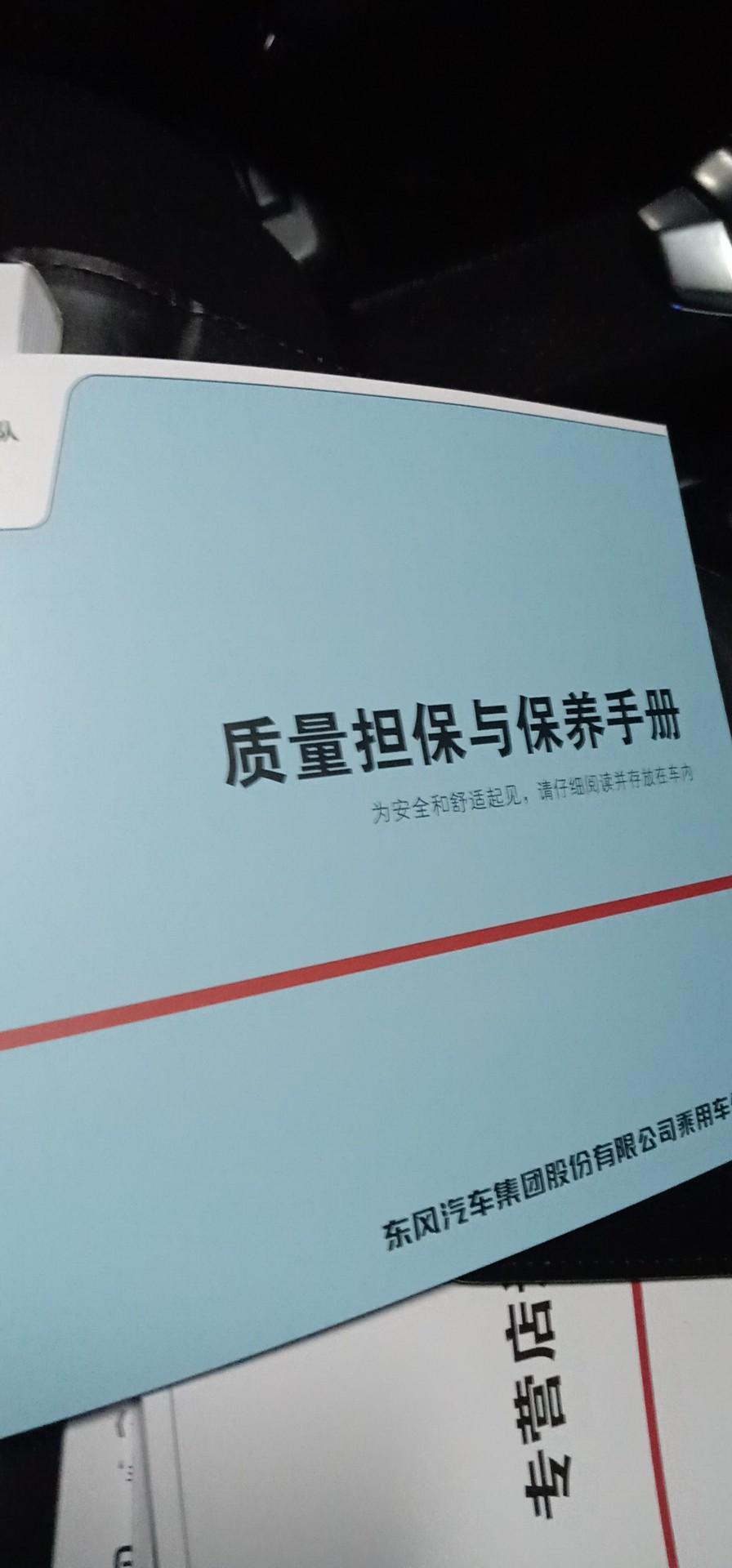 奕炫-我这个是不是三包凭证啊  是不是除了 发票 合格证 其他的都齐了，分期的没上牌呢 绿本没给  保险应该是电子单吧