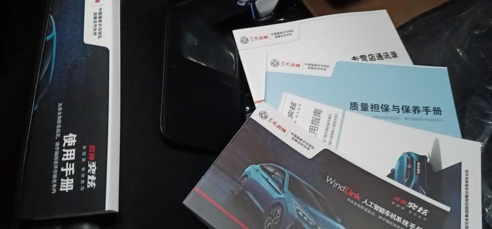奕炫-我这个是不是三包凭证啊  是不是除了 发票 合格证 其他的都齐了，分期的没上牌呢 绿本没给  保险应该是电子单吧