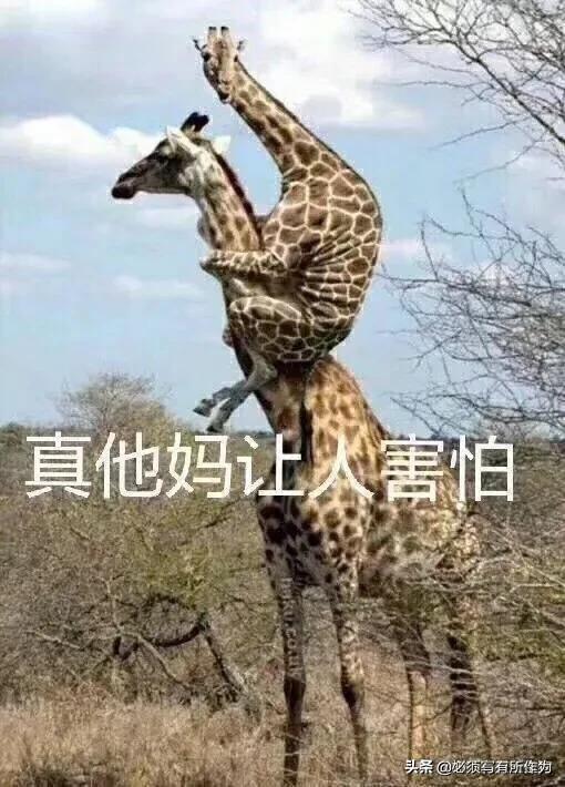 捷途x70-为啥现在锁车天窗不能自己关合了