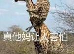 捷途x70-为啥现在锁车天窗不能自己关合了