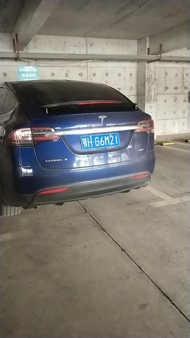 model x-大家看看这是
