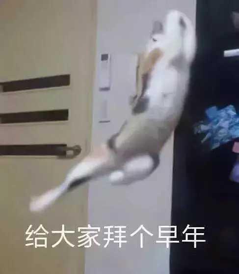 请问各位老哥 杰德是选择老款6座还是新款5座呢 另外1.8和1.5t如何选择更好