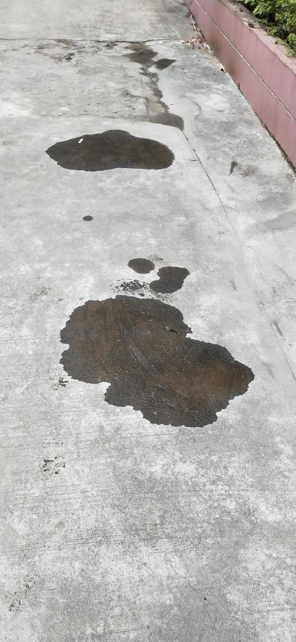 凯越-发动机和后面漏油      怎么破？机油一滴不剩全加进去了，是加多了么？