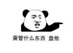 沃尔沃s90-2020款s90还能选装宝华韦健吗