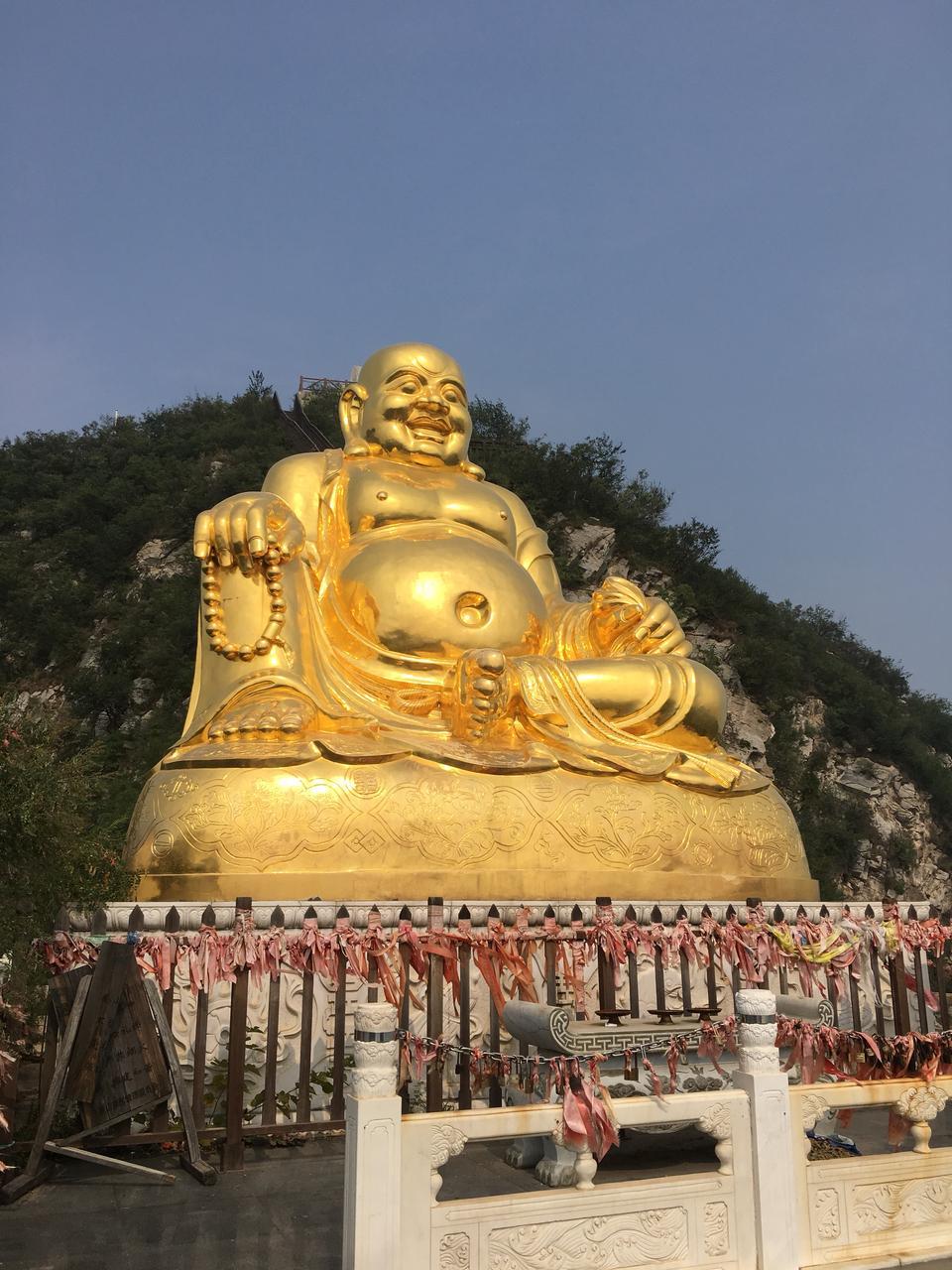请教各位大神奇骏?️黑色的嚒