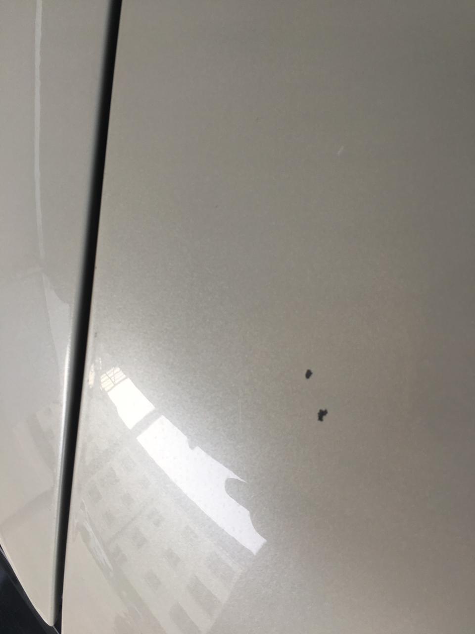 奇骏-今天出去玩完回家刷车时才发现的、前车盖上被东西崩掉漆了、都说日产漆面薄、这次相信了、不大、但是挺明显的、关键新车挺疼人的、哪位车友说说、这种小面积的掉漆如何修补啊？各位大神支招
