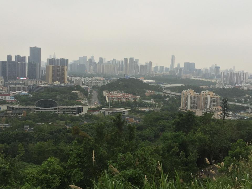 奇骏18万落地，逍客16万落地，都是中高配。我是旧车置换有补贴的。目前手头也一般般，就在考虑到底哪一款好，各位看官来两句！