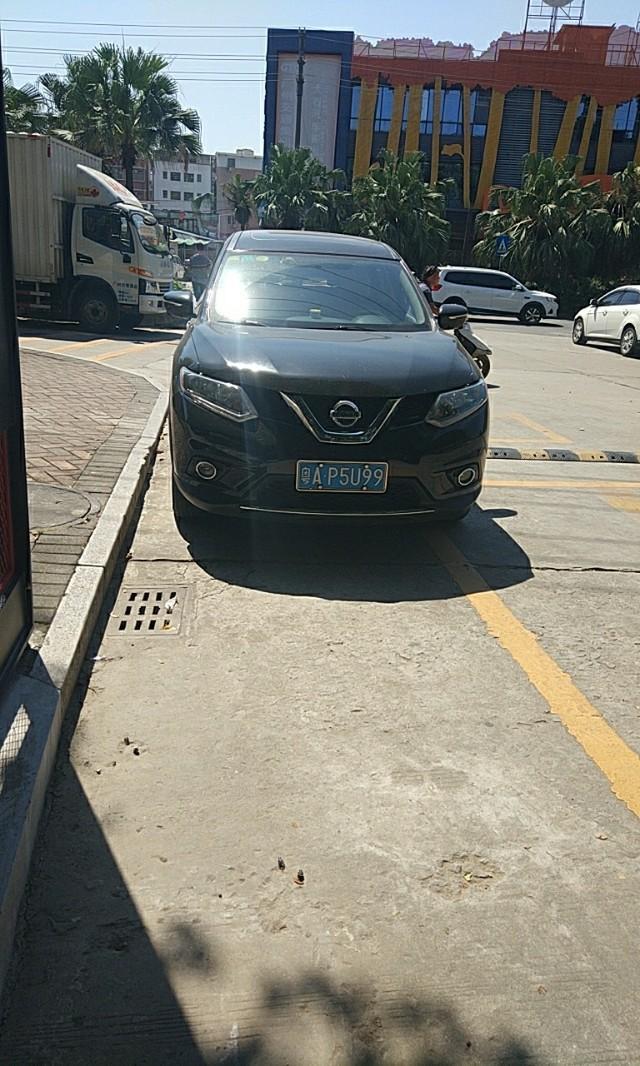 奇骏-车被大家看看这是什么车