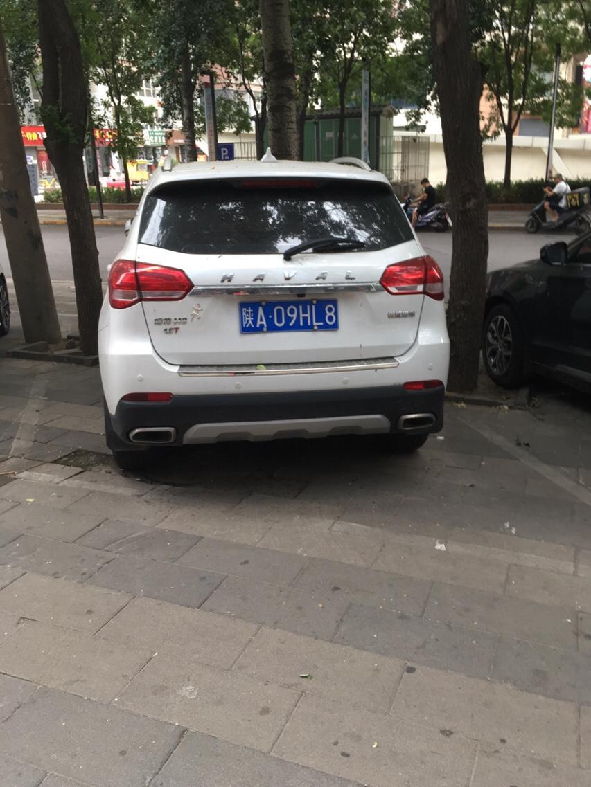 长城和科鲁兹哪个好？