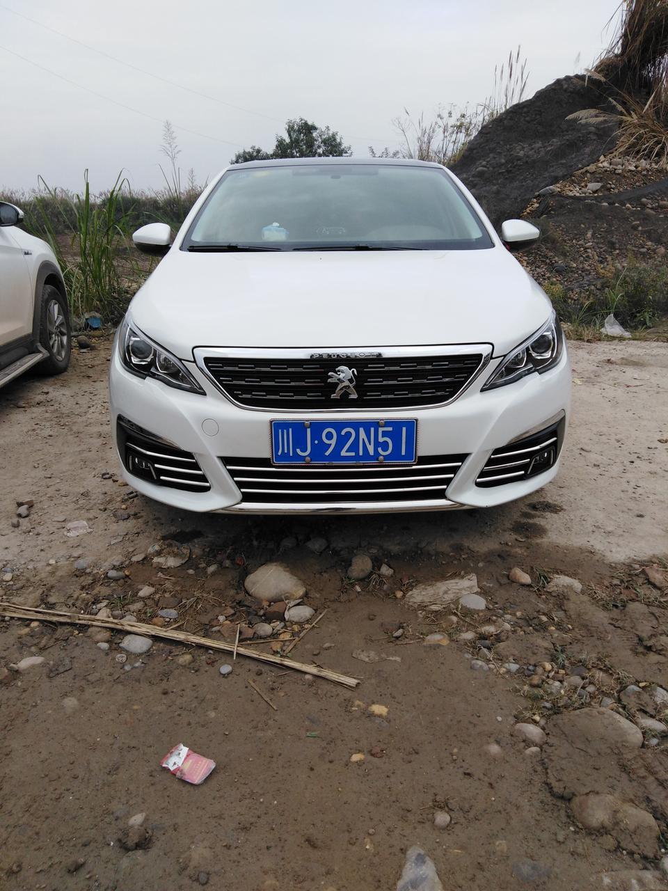 车友们大家好，16款东风标致308自动豪华型，可以加装倒车影像和定速巡航吗？加装费用是多少？