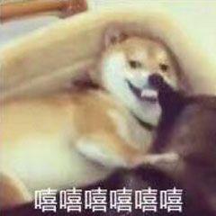 标致308-2019款标志308自豪版都有些什么功能呀？