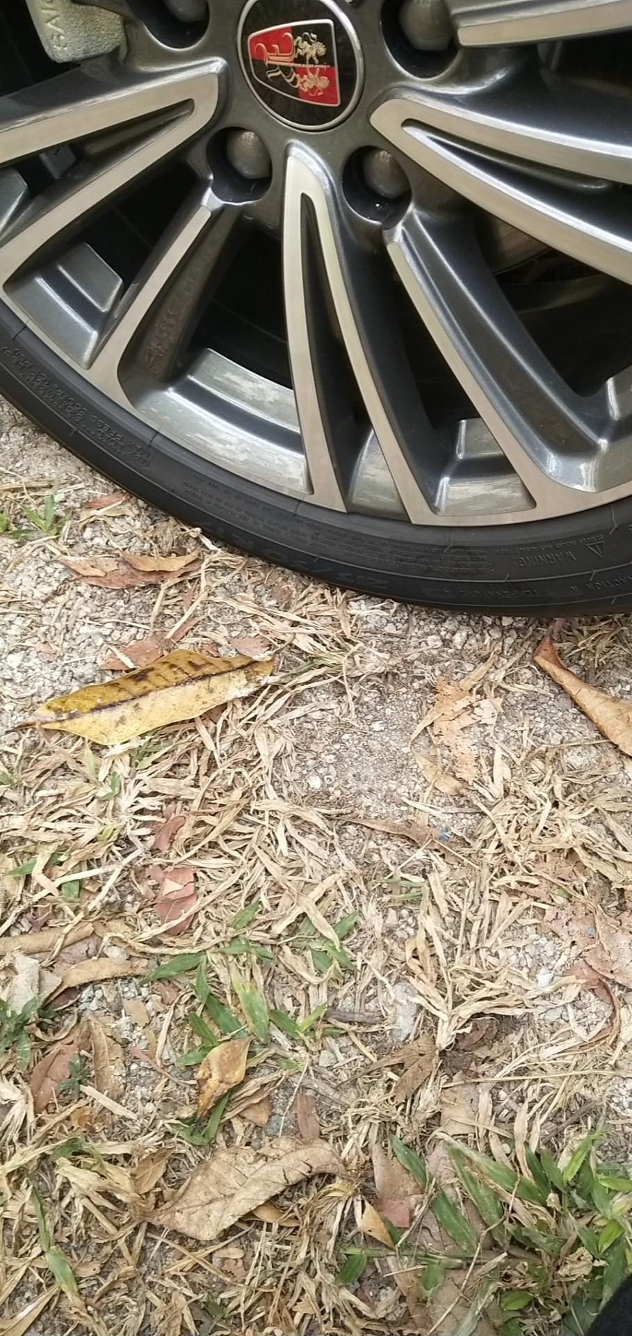 荣威i6-这个蓝色灯亮是什么意思啊，还有我胎是不是气不足了？求大神指点