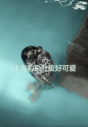 新疆乌鲁木齐荣威i6plus自然吸气cvt有没有车友啊加个好友了解一下。
