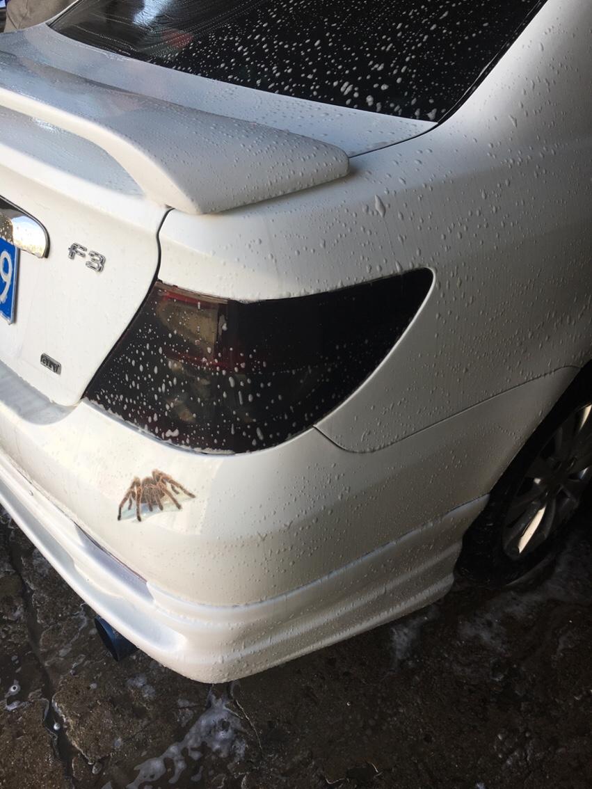 比亚迪f3-f3小排量家庭代步车：我把轮胎加宽了 ：215/40r17的 轮毂加大了7.5j的；转弯时还是不稳，是不是应该换减震 降低车身啊？