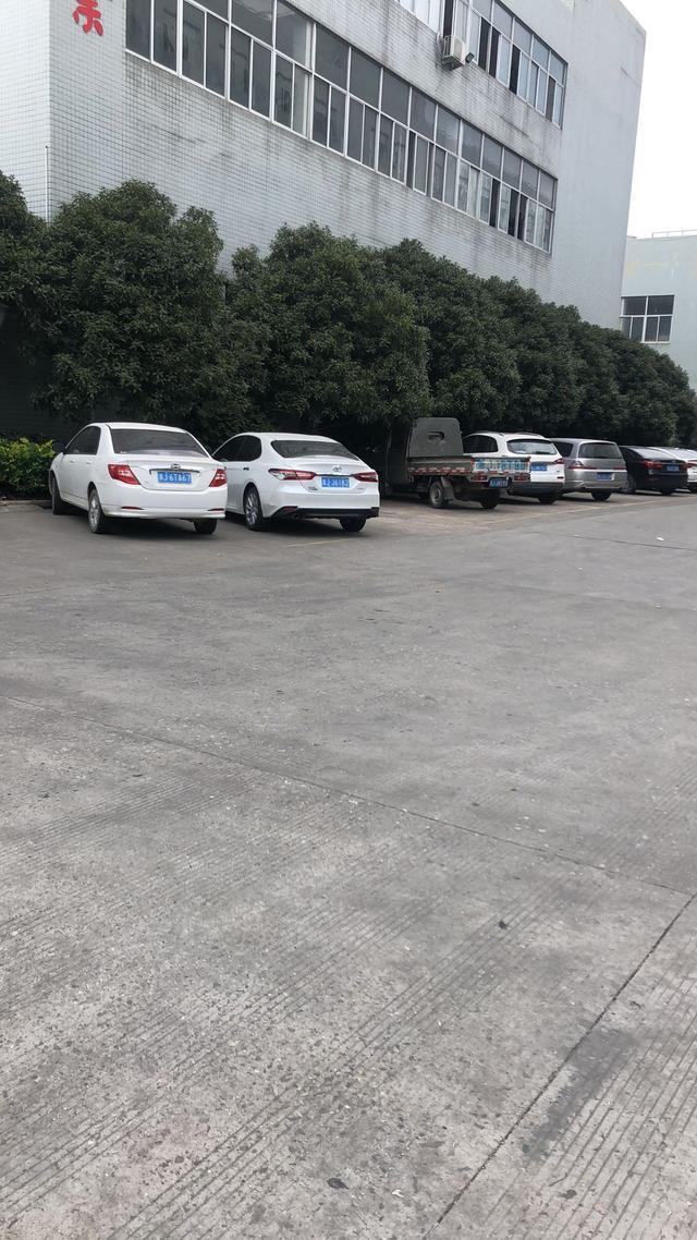 比亚迪f3-大家看看这是什么车丰田