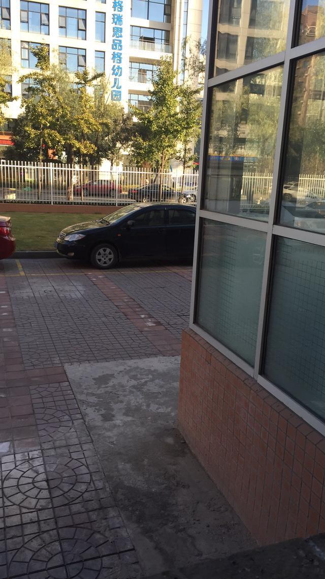 比亚迪f3-这软件能识别出来车的配置和年限吗？