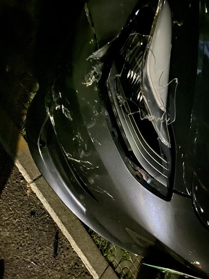 model 3(进口)-特拉斯撞成这样维修要多少钱