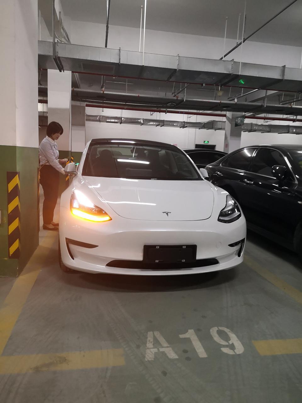 model 3(进口)-贴膜怎么选，网上价格，1000-8000都有，这玩意儿有差这么大吗